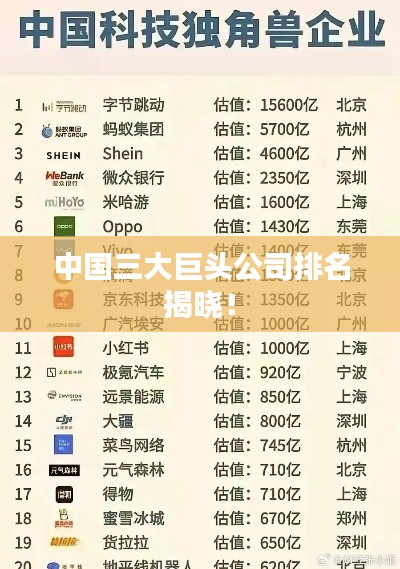 中国三大巨头公司排名揭晓！