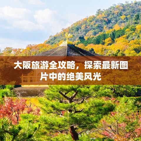 大阪旅游全攻略，探索最新图片中的绝美风光