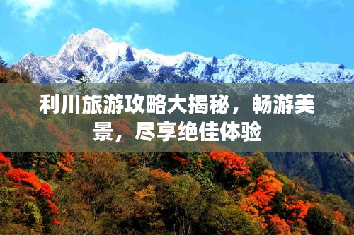 利川旅游攻略大揭秘，畅游美景，尽享绝佳体验