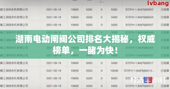 湖南电动闸阀公司排名大揭秘，权威榜单，一睹为快！