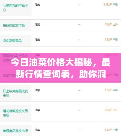 今日油菜价格大揭秘，最新行情查询表，助你洞悉市场动态！