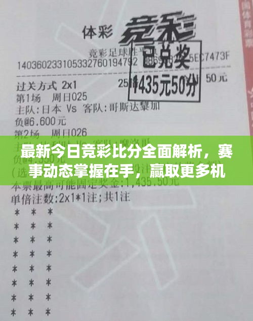 逆风飞扬
