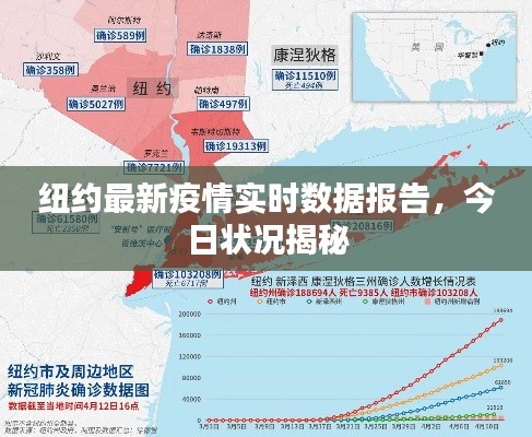 纽约最新疫情实时数据报告，今日状况揭秘