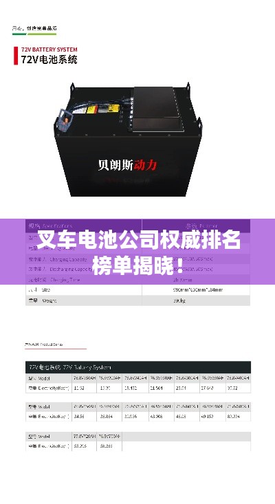叉车电池公司权威排名榜单揭晓！
