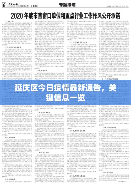 延庆区今日疫情最新通告，关键信息一览