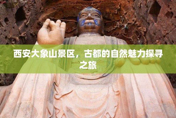 西安大象山景区，古都的自然魅力探寻之旅
