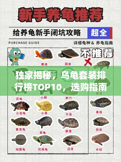 独家揭秘，乌龟套装排行榜TOP10，选购指南一网打尽！