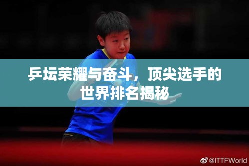 乒坛荣耀与奋斗，顶尖选手的世界排名揭秘