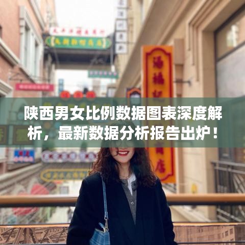 陕西男女比例数据图表深度解析，最新数据分析报告出炉！