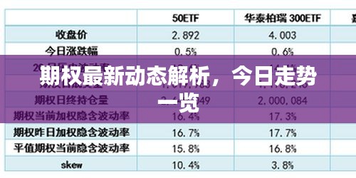 期权最新动态解析，今日走势一览