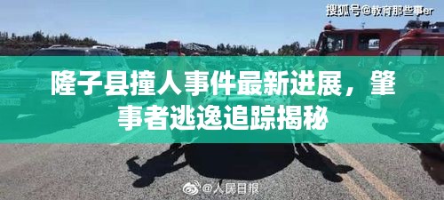 隆子县撞人事件最新进展，肇事者逃逸追踪揭秘
