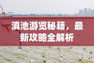 滇池游览秘籍，最新攻略全解析