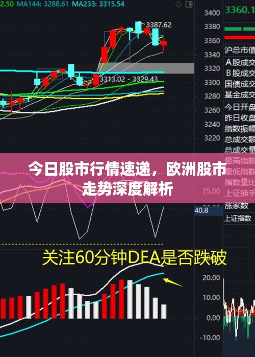 今日股市行情速递，欧洲股市走势深度解析