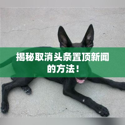 揭秘取消头条置顶新闻的方法！