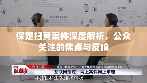 保定扫黄案件深度解析，公众关注的焦点与反响