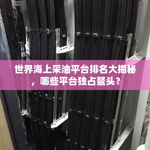 世界海上采油平台排名大揭秘，哪些平台独占鳌头？