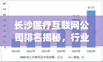 长沙医疗互联网公司排名揭秘，行业深度分析与趋势解读