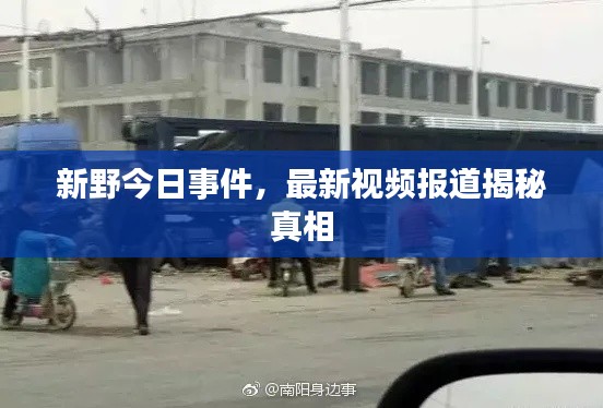 新野今日事件，最新视频报道揭秘真相
