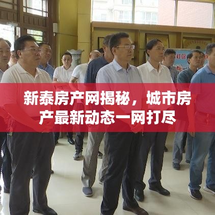 新泰房产网揭秘，城市房产最新动态一网打尽