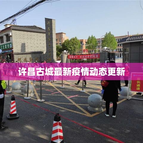 许昌古城最新疫情动态更新