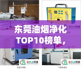 东莞油烟净化TOP10榜单，环保先锋企业大放异彩！