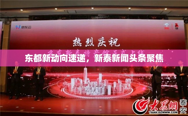 东都新动向速递，新泰新闻头条聚焦