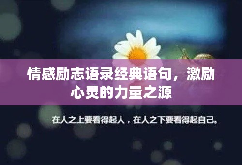 情感励志语录经典语句，激励心灵的力量之源