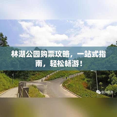 林湖公园购票攻略，一站式指南，轻松畅游！