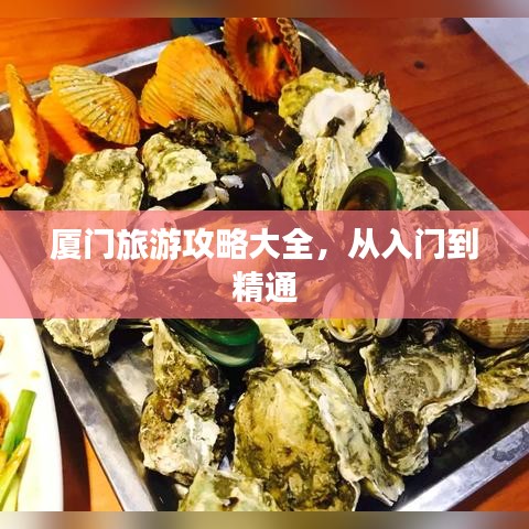 厦门旅游攻略大全，从入门到精通