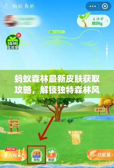 蚂蚁森林最新皮肤获取攻略，解锁独特森林风格皮肤的实用指南