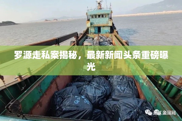 罗源走私案揭秘，最新新闻头条重磅曝光