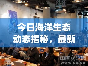 今日海洋生态动态揭秘，最新鱼情预测助你洞悉海洋生态变化！