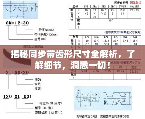 揭秘同步带齿形尺寸全解析，了解细节，洞悉一切！