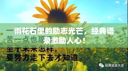 雨花石里的励志光芒，经典语录激励人心！