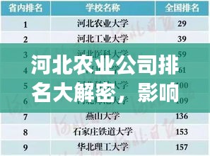 河北农业公司排名大解密，影响力深度剖析！