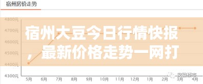 宿州大豆今日行情快报，最新价格走势一网打尽！