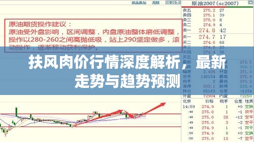 扶风肉价行情深度解析，最新走势与趋势预测