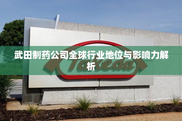 武田制药公司全球行业地位与影响力解析