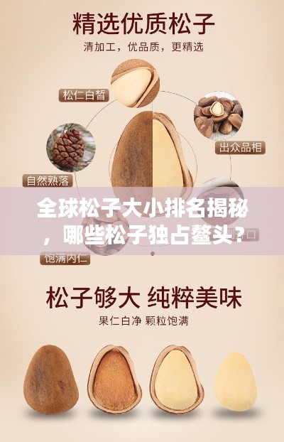 全球松子大小排名揭秘，哪些松子独占鳌头？