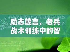 励志箴言，老兵战术训练中的智慧与坚韧