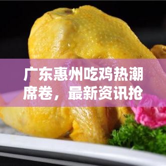 广东惠州吃鸡热潮席卷，最新资讯抢先看！