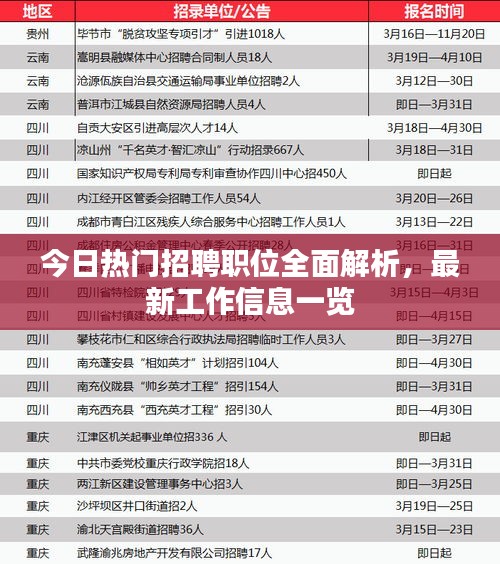 今日热门招聘职位全面解析，最新工作信息一览