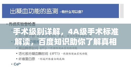 雍荣闲雅