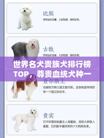 世界名犬贵族犬排行榜TOP，尊贵血统犬种一览