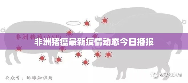 非洲猪瘟最新疫情动态今日播报