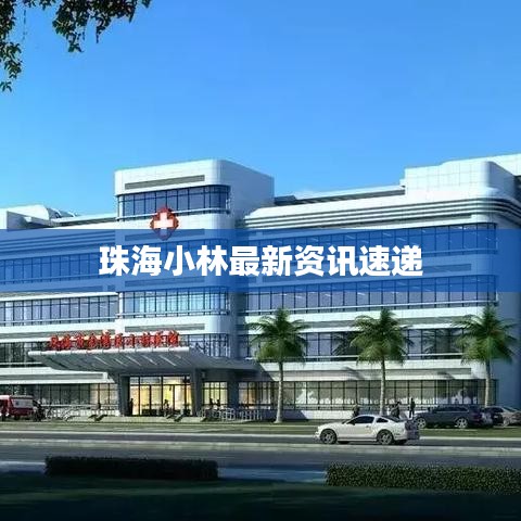 珠海小林最新资讯速递