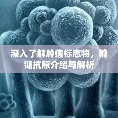 箭拔弩张