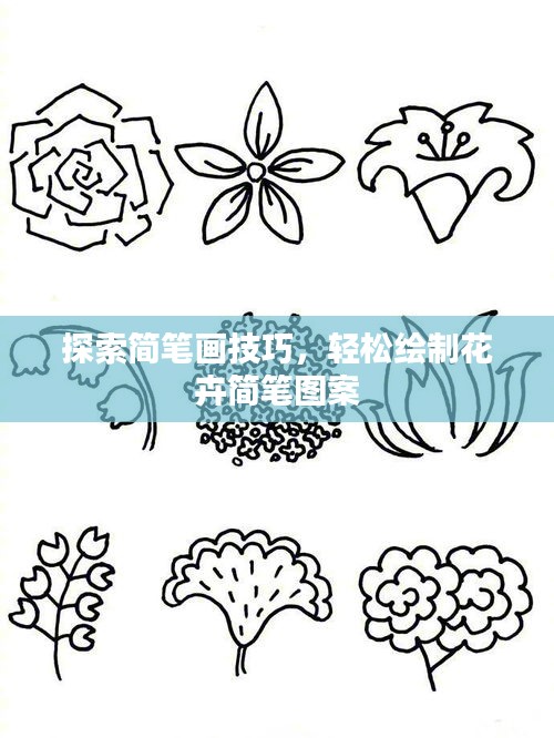 探索简笔画技巧，轻松绘制花卉简笔图案