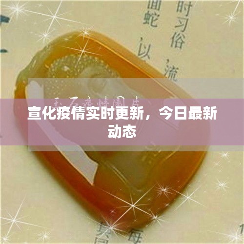 宣化疫情实时更新，今日最新动态