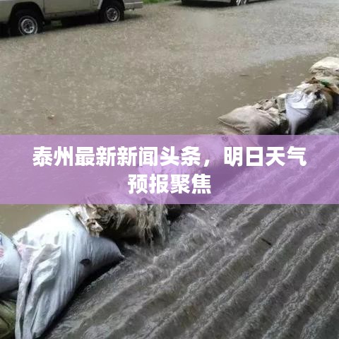 泰州最新新闻头条，明日天气预报聚焦